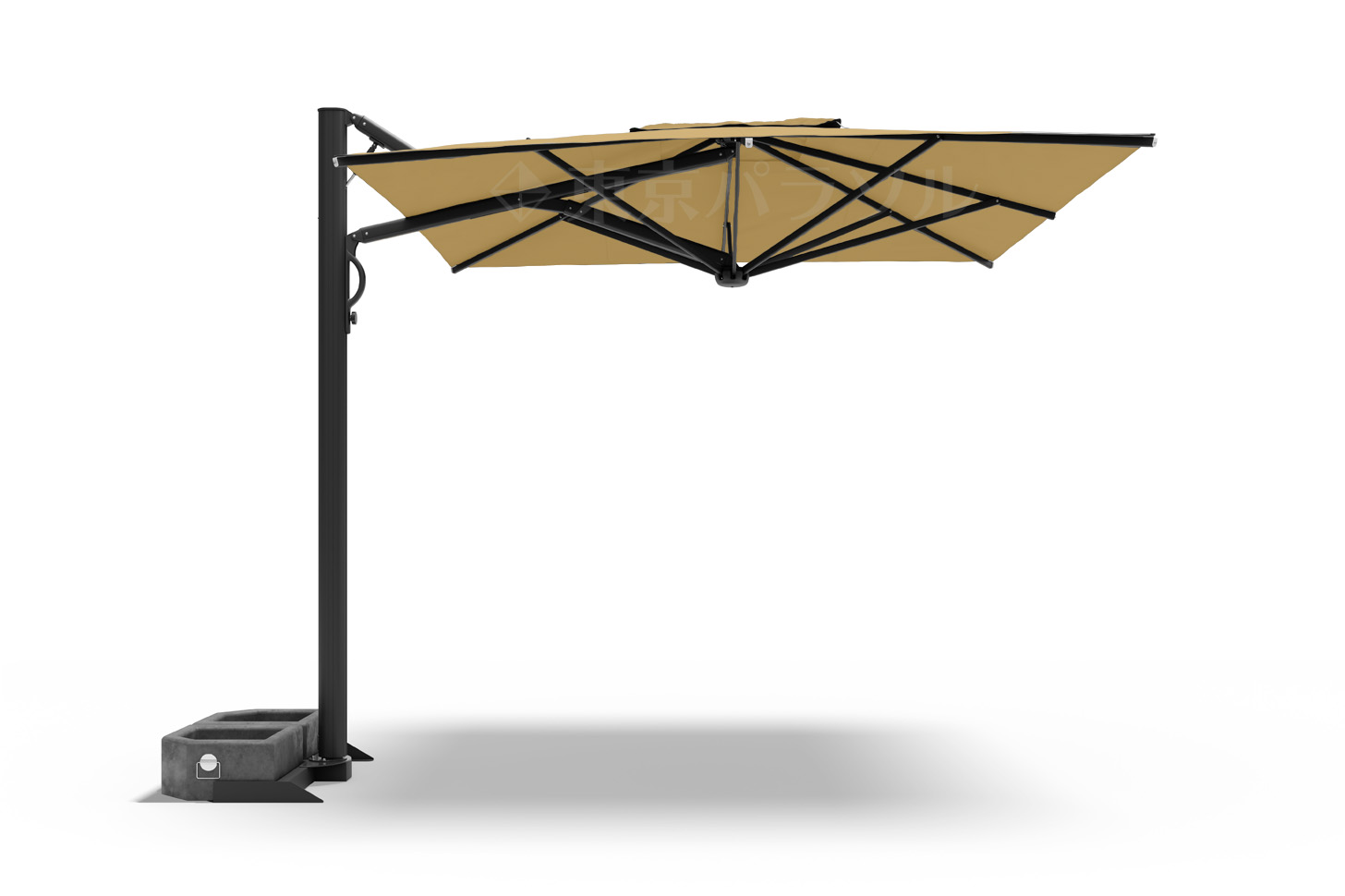 マリーゴールド